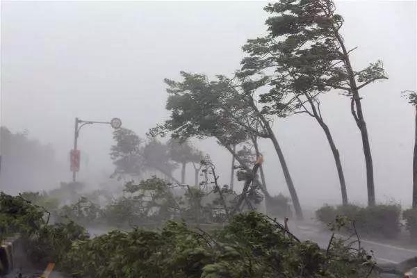 山竹肆掠： 臺風(fēng)天，光伏電站如何將損失降至最低